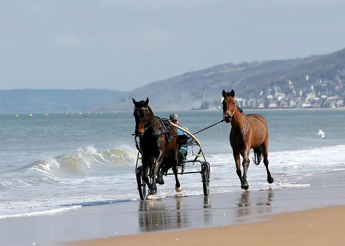 Studio Moderne En Bord De Mer