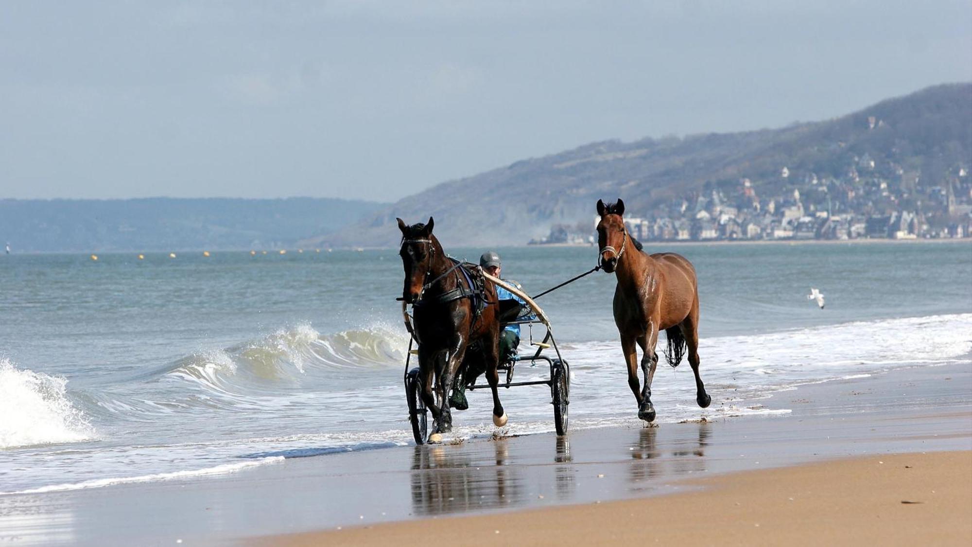 Moderne En Bord De Cabourg